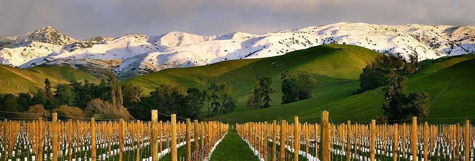 Marlborough Vintners Accommodation เบลนิม ภายนอก รูปภาพ