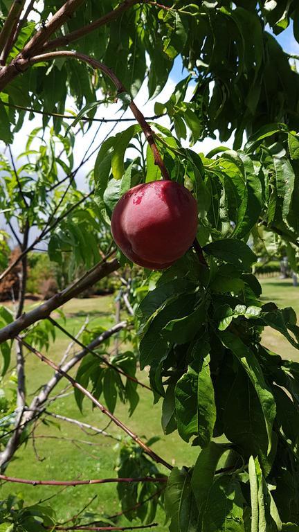 Marlborough Vintners Accommodation เบลนิม ภายนอก รูปภาพ