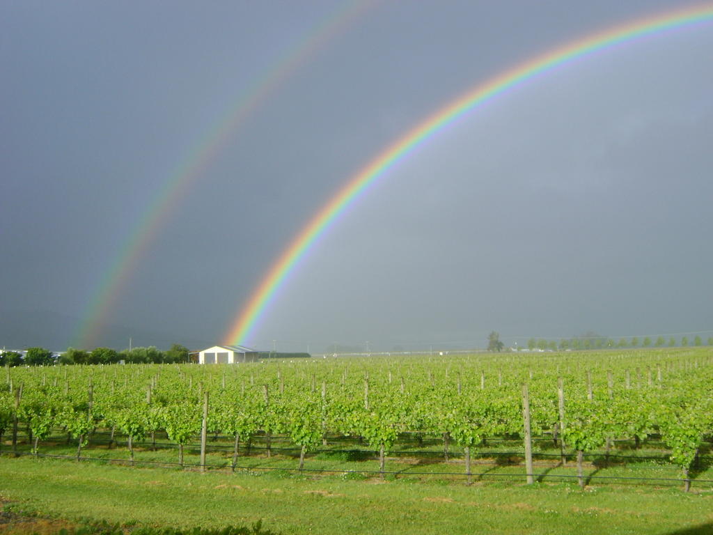 Marlborough Vintners Accommodation เบลนิม ภายนอก รูปภาพ